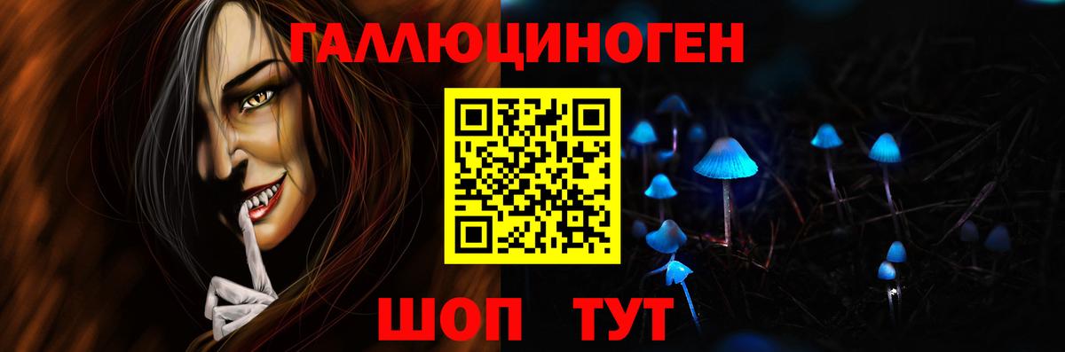 Галлюциногенные грибы Psilocybe Алексин